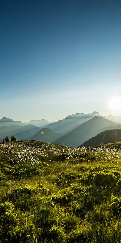 Bergsommer genießen Grüne Landschaft in Saalbach Hinterglemm
